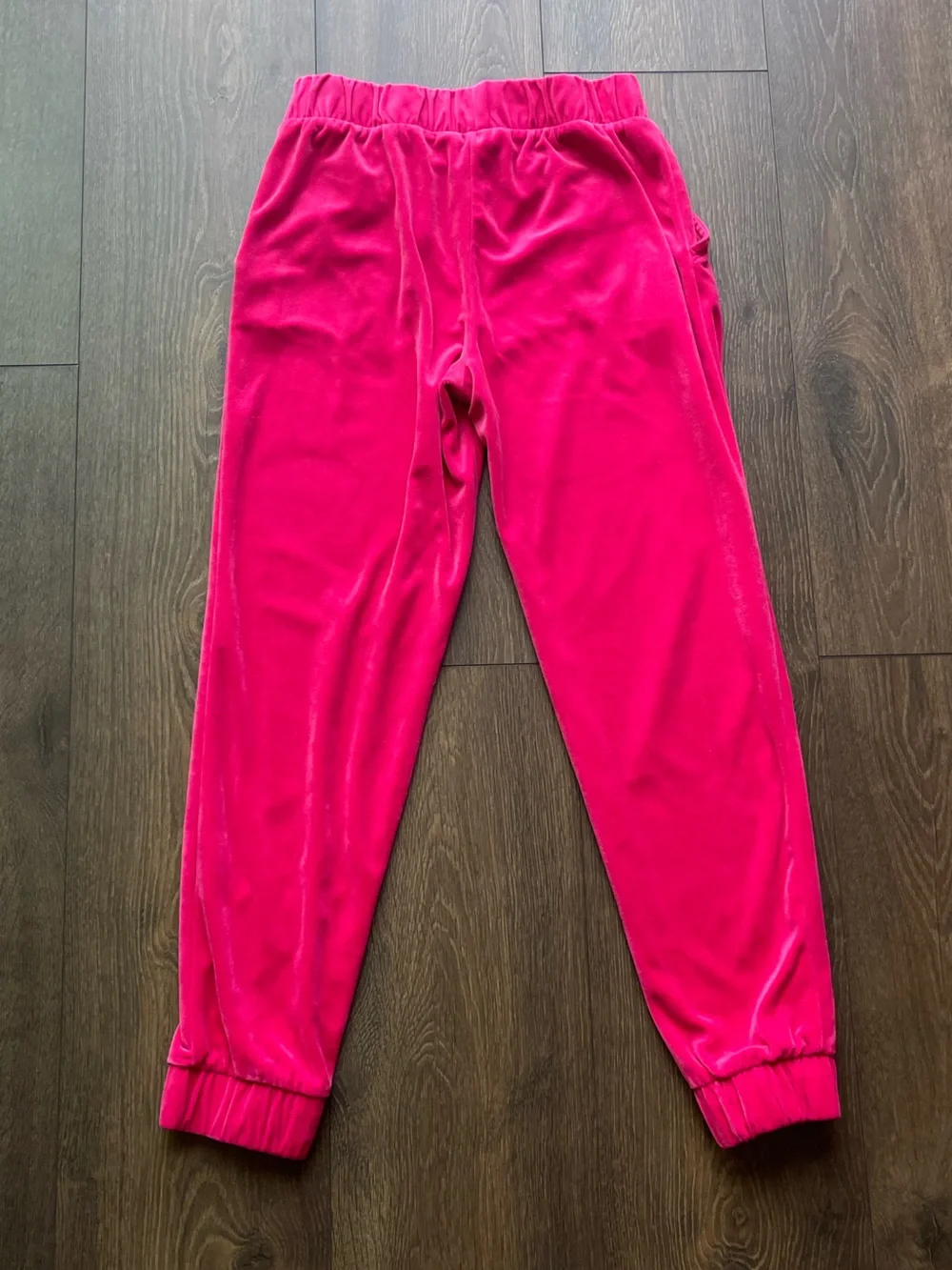 Juicy Couture Velvet Jogger Pants
